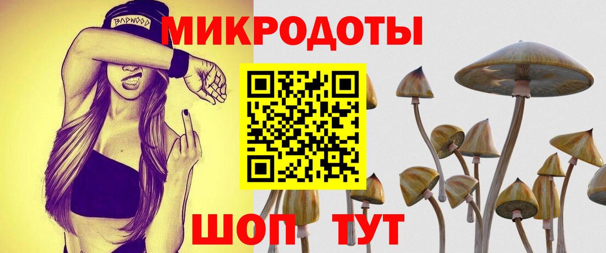 Псилоцибиновые грибы Psilocybine cubensis Губаха